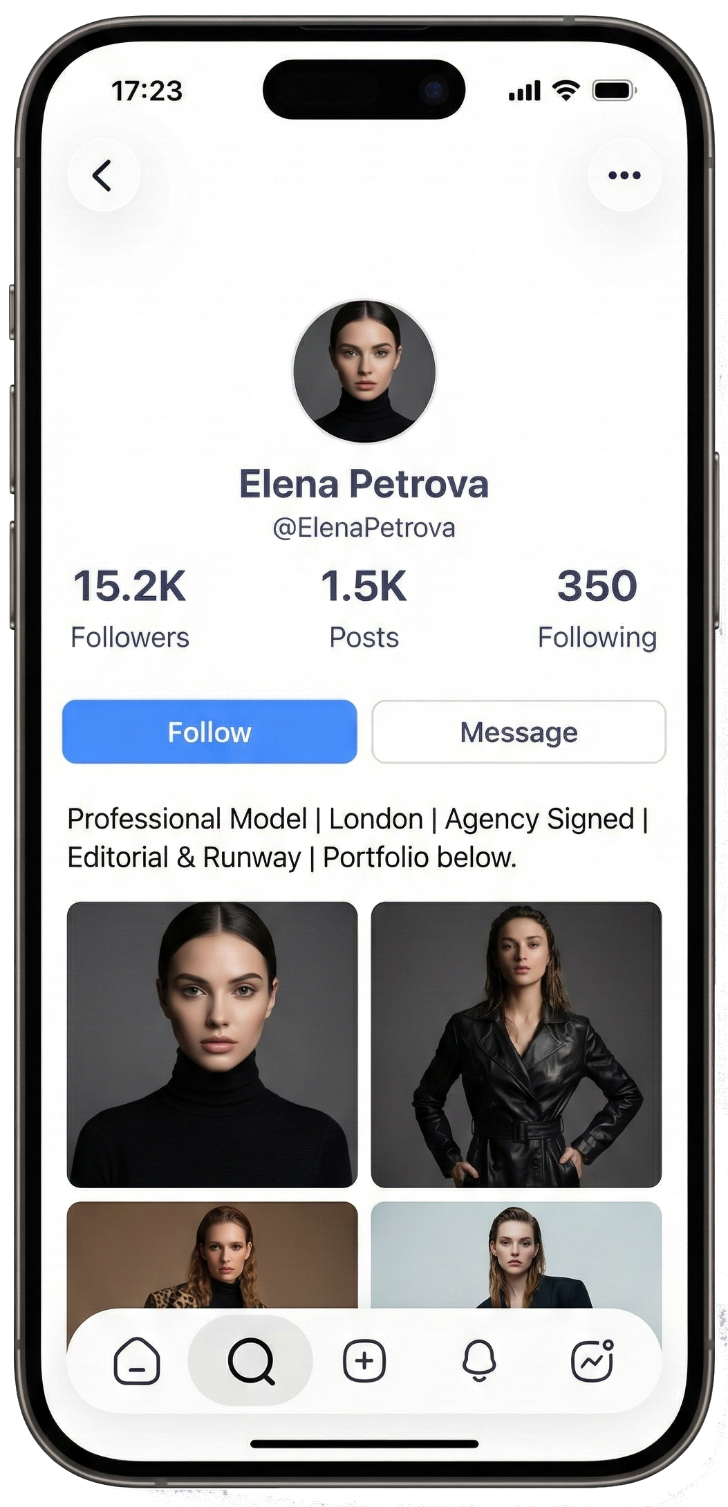 Professional portfolio profile